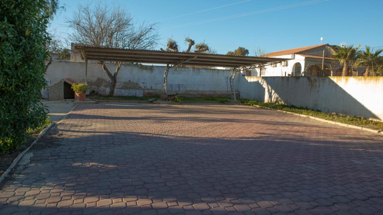 Estudio Adosado Con Jardin Y Parking Privado Alicante Exteriör bild