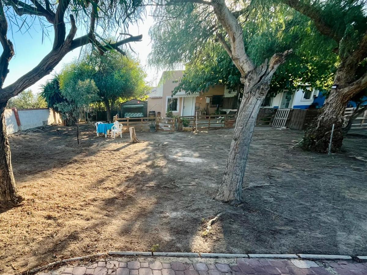Estudio Adosado Con Jardin Y Parking Privado Alicante Exteriör bild