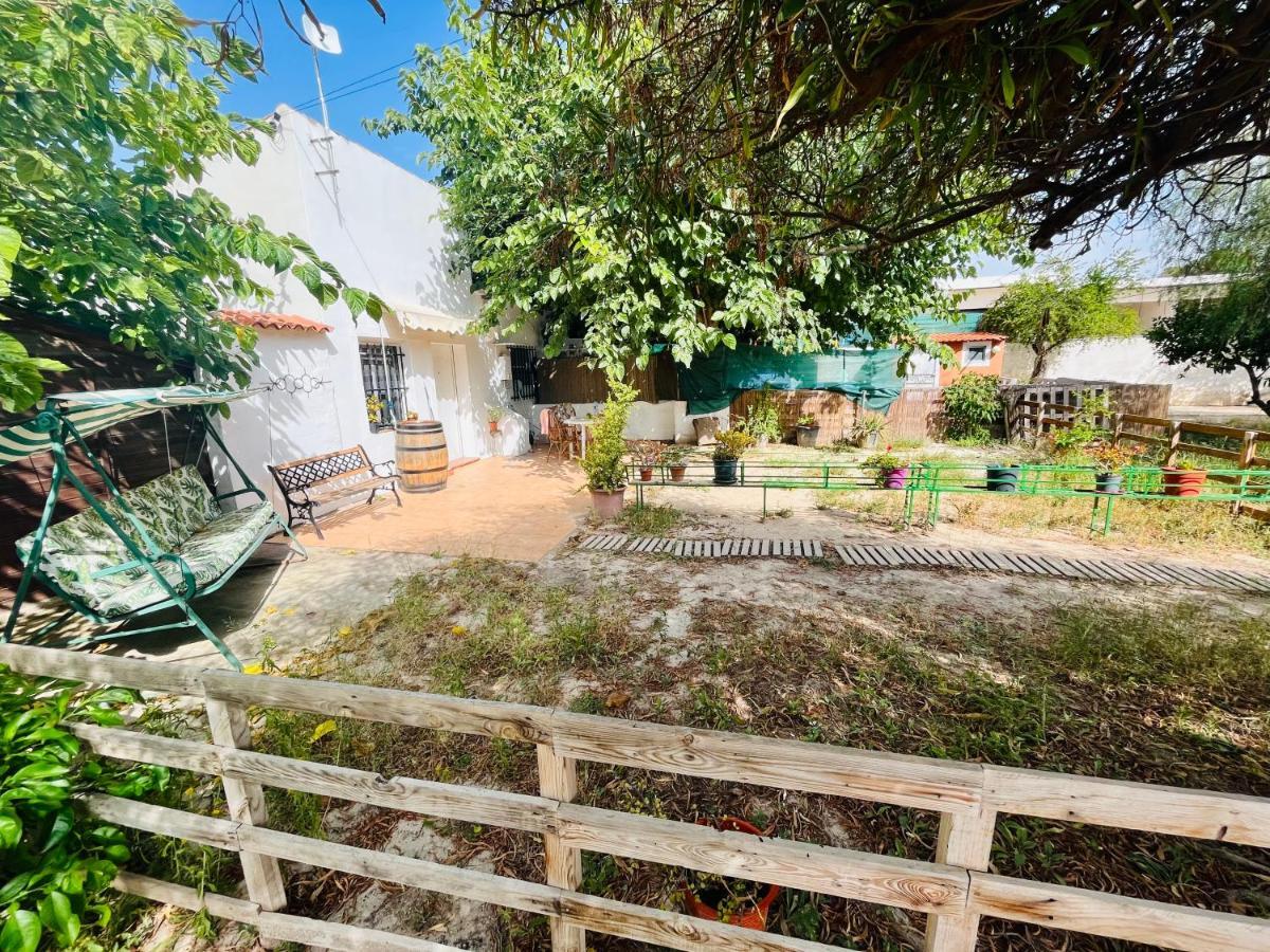Estudio Adosado Con Jardin Y Parking Privado Alicante Exteriör bild